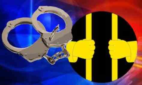 Delhi Police Bust Drug Trafficking Syndicate; Arrest 3